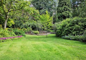 Optimiser l'expérience du jardin à Le Champ-de-la-Pierre